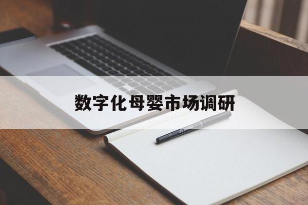 许昌市数字化母婴市场调研(数字化母婴市场调研报告)